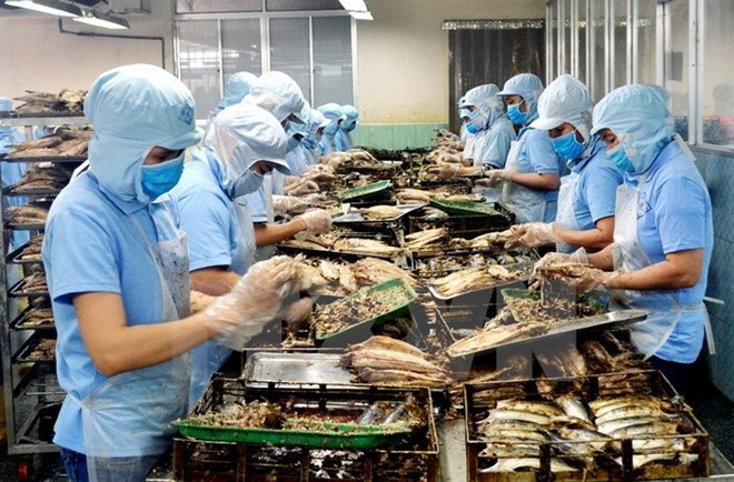 附圖：2018年前兩月越南水產(chǎn)品出口額同比增長(cháng)近30%。（圖片來(lái)源：越通社）
